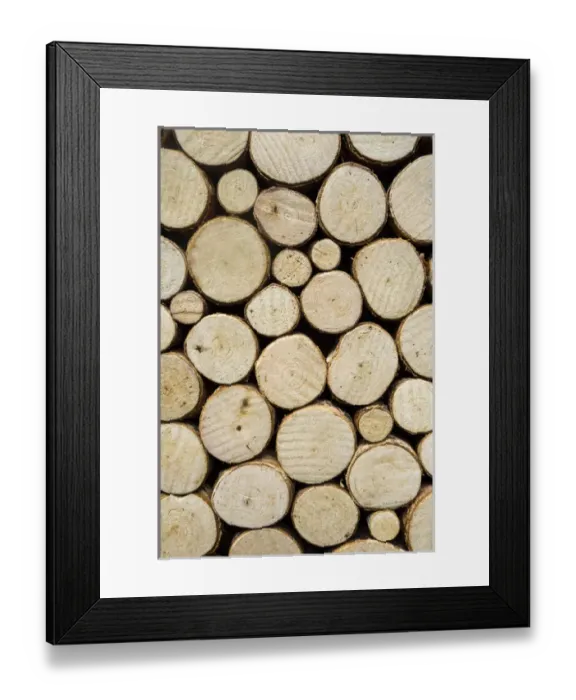 Framed Print : Pattern of round logs, San Francisco, California, United States Framed Print : Pattern of round logs, San Francisco, California, United States