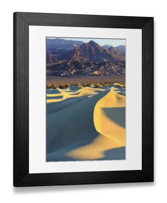 Framed Print : Sunrise highlights the texture along the ridgeline of a sand dune in the Mesquite