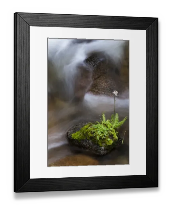 Framed Print : North America, USA, California, Yosemite National Park Framed Print : North America, USA, California, Yosemite National Park