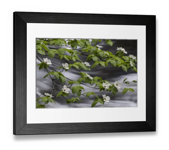 Framed Print : North America, USA, California, Yosemite National Park Framed Print : North America, USA, California, Yosemite National Park