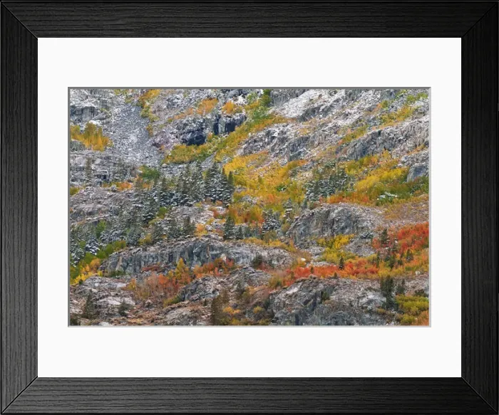 Framed Print : Autumn hues and fresh powder, John Muir Wilderness, Sierra Nevada Mountains, California
