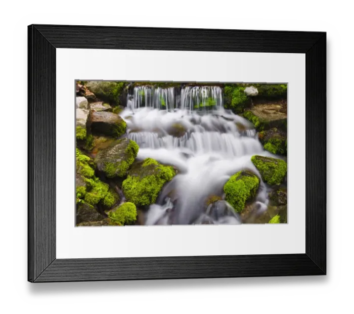 Framed Print : Fern Spring, Yosemite National Park, California Framed Print : Fern Spring, Yosemite National Park, California