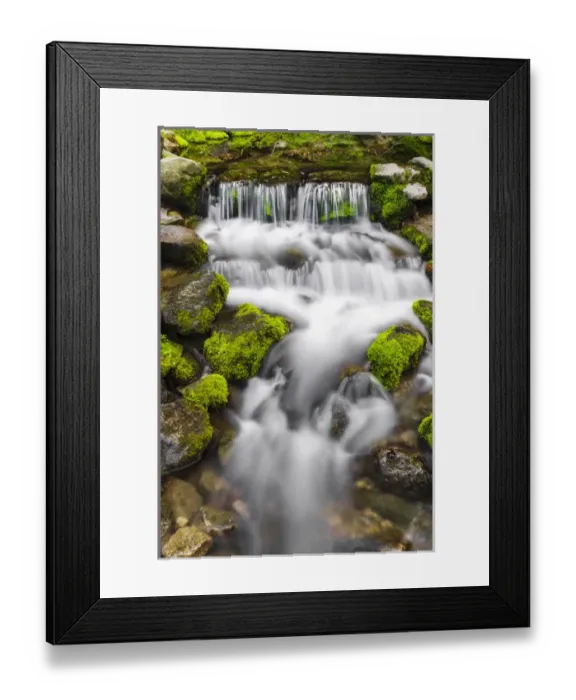 Framed Print : Fern Spring, Yosemite National Park, California