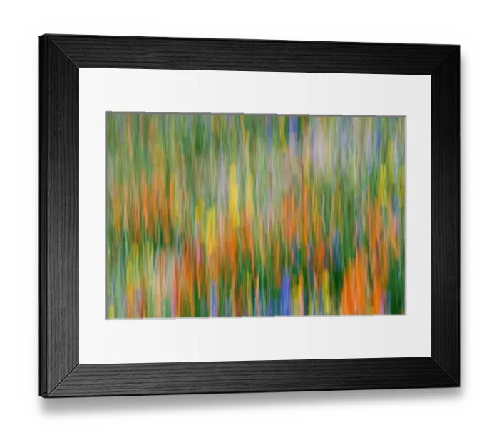 Framed Print : Wildflower abstract, Tehachapi Mountains, Angeles National Forest, California USA Framed Print : Wildflower abstract, Tehachapi Mountains, Angeles National Forest, California USA