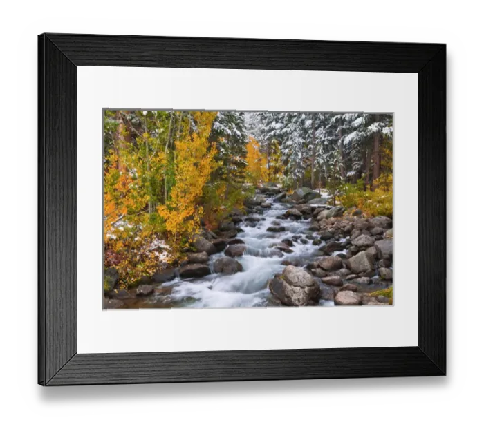 Framed Print : Fresh snow on fall aspens and pines along Bishop Creek, Inyo National Forest, Sierra Framed Print : Fresh snow on fall aspens and pines along Bishop Creek, Inyo National Forest, Sierra