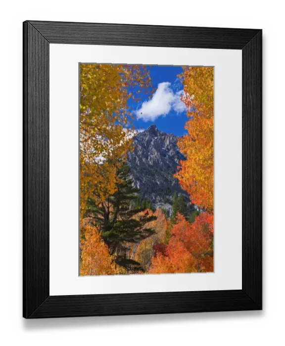 Framed Print : Fall color along Bishop Creek, Inyo National Forest, Sierra Nevada Mountains, California Framed Print : Fall color along Bishop Creek, Inyo National Forest, Sierra Nevada Mountains, California