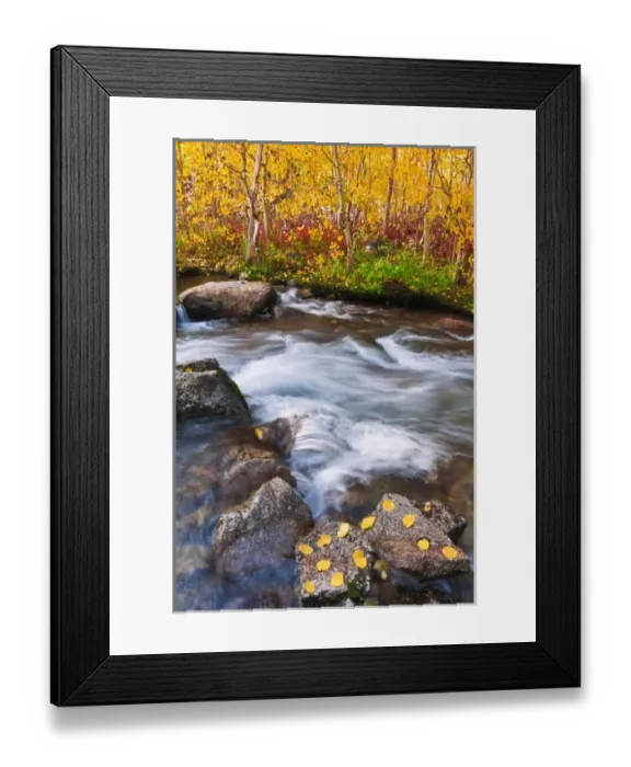 Framed Print : Fall color along Bishop Creek, Inyo National Forest, Sierra Nevada Mountains, California Framed Print : Fall color along Bishop Creek, Inyo National Forest, Sierra Nevada Mountains, California