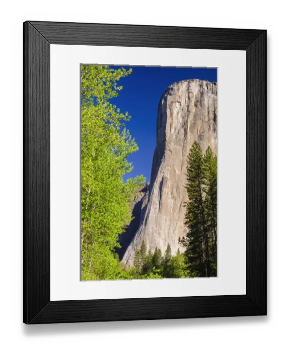 Framed Print : Morning light on El Capitan, Yosemite National Park, California USA Framed Print : Morning light on El Capitan, Yosemite National Park, California USA