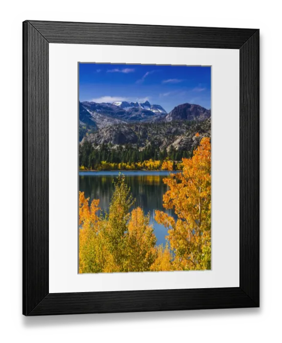 Framed Print : Golden fall aspen at June Lake, Inyo National Forest, Sierra Nevada Mountains, California