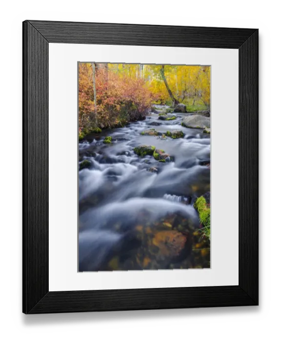 Framed Print : Fall color along Lundy Creek, Inyo National Forest, Sierra Nevada Mountains, California Framed Print : Fall color along Lundy Creek, Inyo National Forest, Sierra Nevada Mountains, California