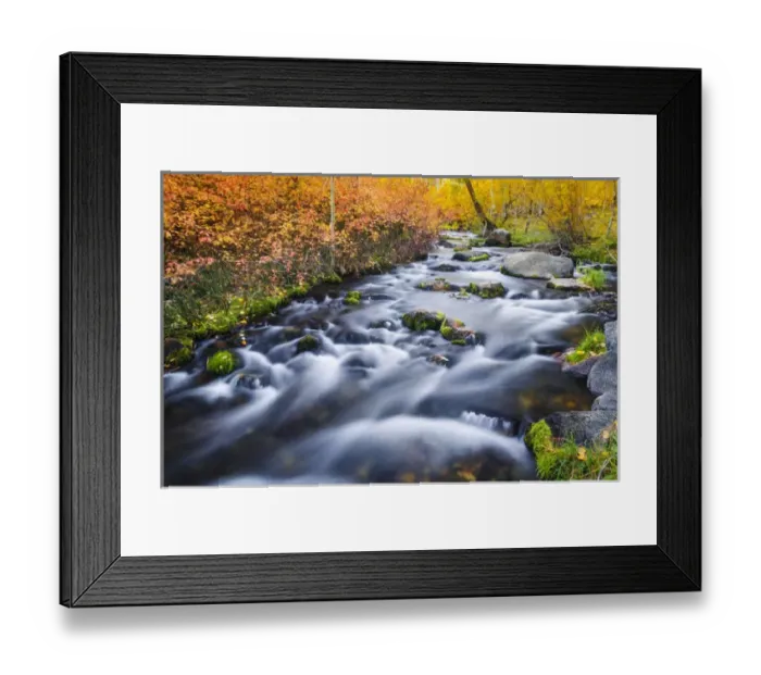 Framed Print : Fall color along Lundy Creek, Inyo National Forest, Sierra Nevada Mountains, California Framed Print : Fall color along Lundy Creek, Inyo National Forest, Sierra Nevada Mountains, California