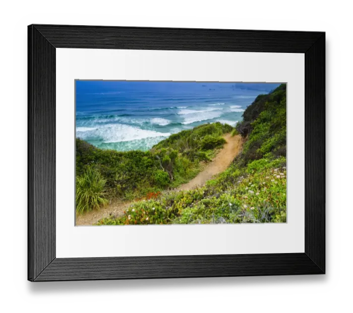 Framed Print : The trail to Sand Dollar Beach, Los Padres National Forest, Big Sur, California USA Framed Print : The trail to Sand Dollar Beach, Los Padres National Forest, Big Sur, California USA