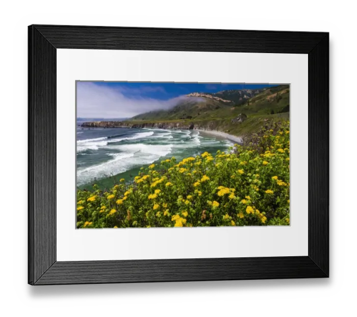 Framed Print : Wildflowers above Sand Dollar Beach, Los Padres National Forest, Big Sur, California