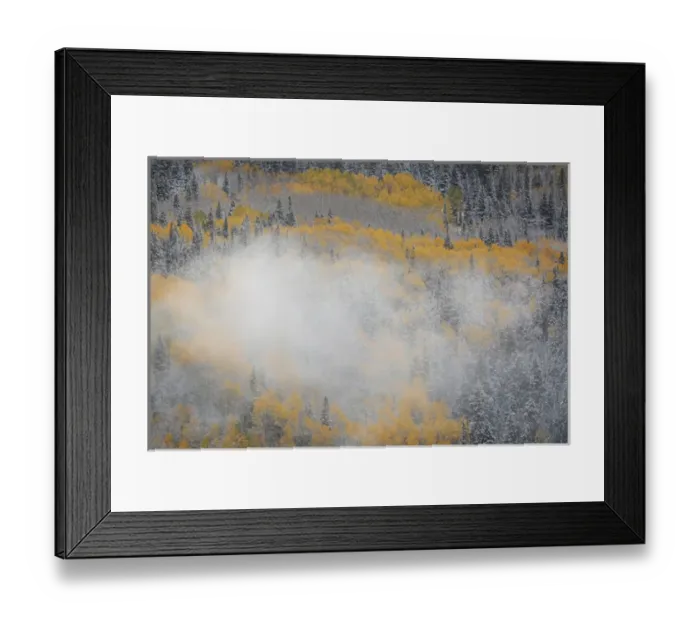 Framed Print : USA, Colorado, San Juan Mountains. Fog on mountainside