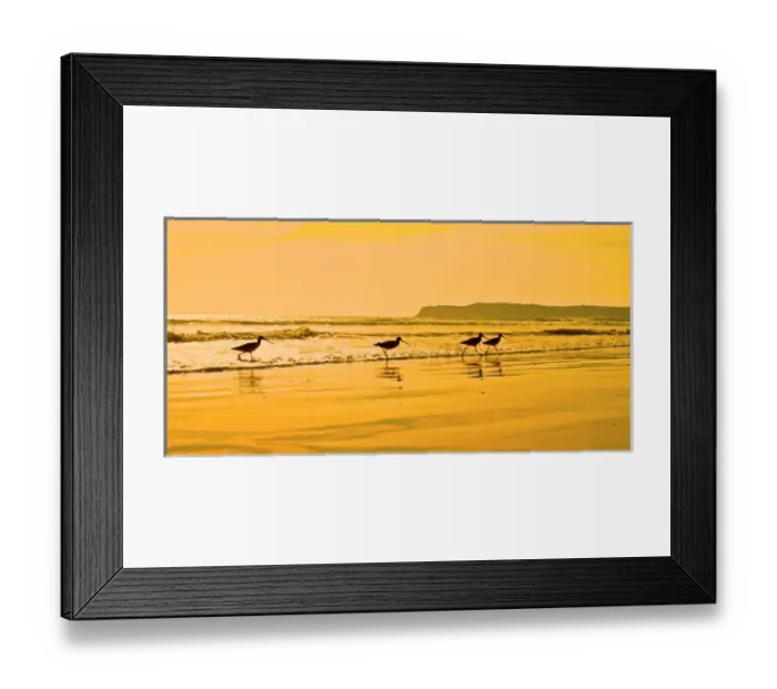 Framed Print : Shorebirds race the evening tide on a California beach Framed Print : Shorebirds race the evening tide on a California beach