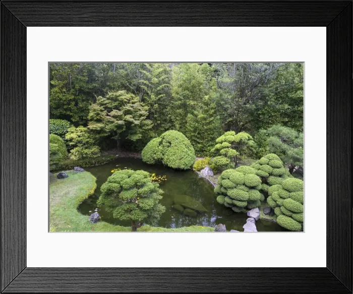 Framed Print : Japanese Tea Garden, Golden Gate Park, San Francisco, California, United States Framed Print : Japanese Tea Garden, Golden Gate Park, San Francisco, California, United States