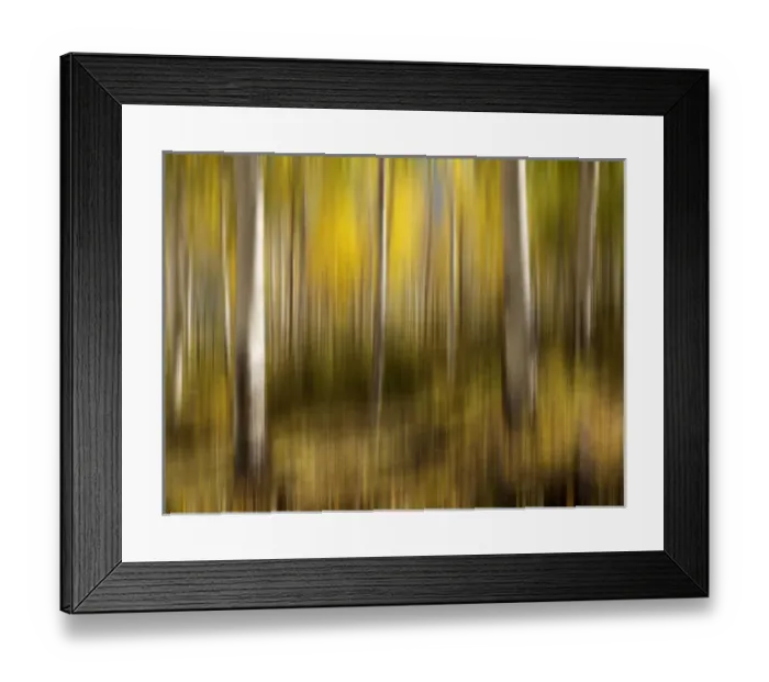 Framed Print : USA, Colorado, Country Road, Blurred aspen trees in fall