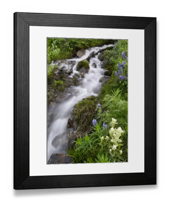Framed Print : USA, Colorado, Crested Butte. Scenic of water cascade and flowers