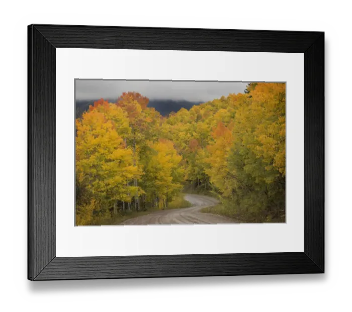 Framed Print : USA, Colorado, San Juan National Forest. Autumn-colored aspen trees and road. Credit as