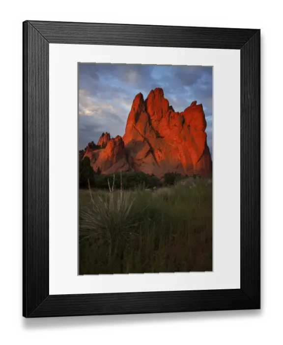Framed Print : USA, Colorado, Colorado Springs. Sunrise on sandstone cliff in Garden of the Gods park Framed Print : USA, Colorado, Colorado Springs. Sunrise on sandstone cliff in Garden of the Gods park