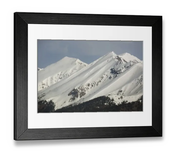 Framed Print : USA, Colorado. Fresh spring snow coats Sawatch Range