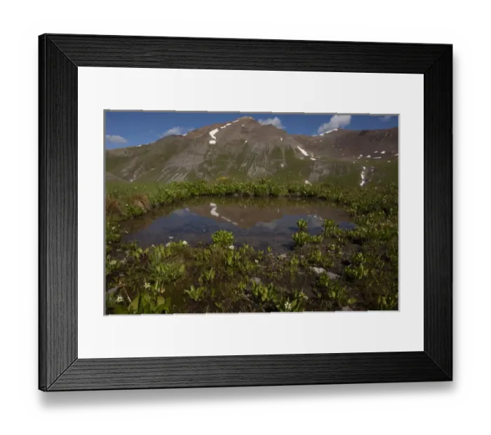 Framed Print : USA, Colorado, San Juan Mountains. Pond lined with marsh marigold flowers. Credit as Framed Print : USA, Colorado, San Juan Mountains. Pond lined with marsh marigold flowers. Credit as
