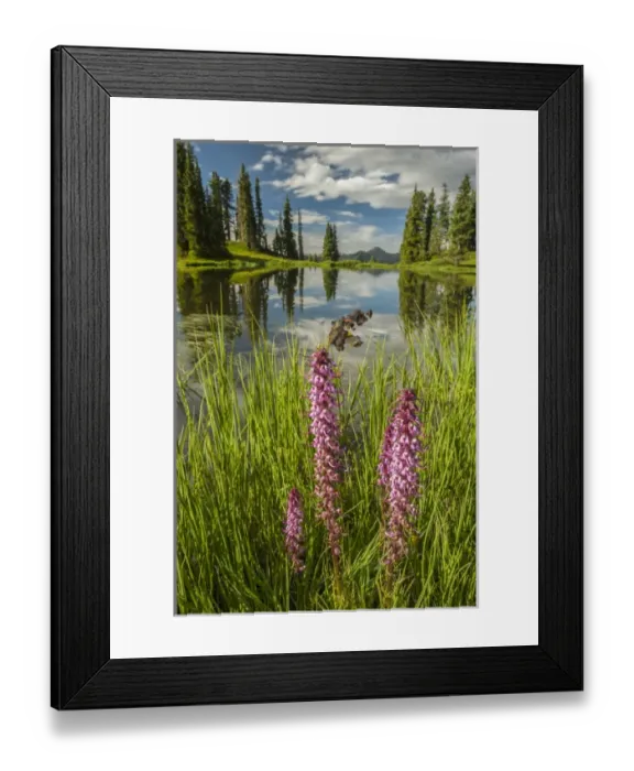 Framed Print : USA, Colorado, Gunnison National Forest. Paradise Divide and pond reflection. Credit as Framed Print : USA, Colorado, Gunnison National Forest. Paradise Divide and pond reflection. Credit as