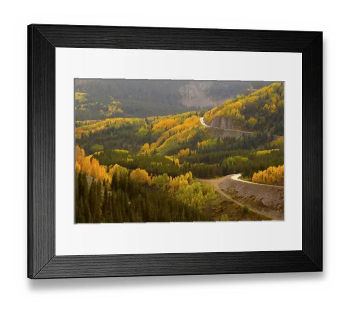 Framed Print : A road meanders through the brilliant fall colors of the San Juan Mountains of Colorado
