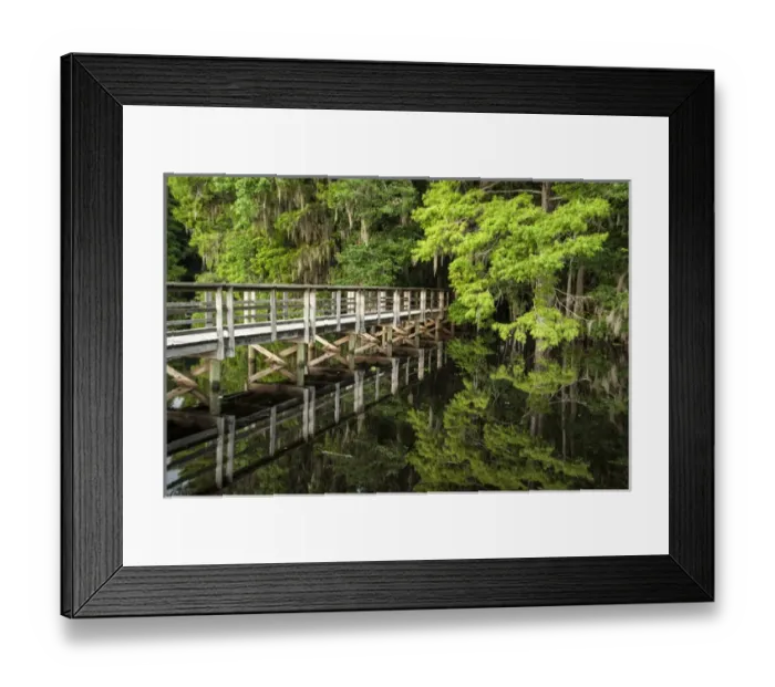 Framed Print : bridge with reflection over Suwanee River