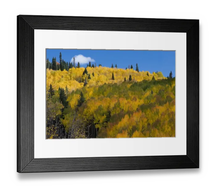 Framed Print : North America, USA, Colorado. Autumn yellow aspen, mountains, and clouds, Uncompahgre Framed Print : North America, USA, Colorado. Autumn yellow aspen, mountains, and clouds, Uncompahgre