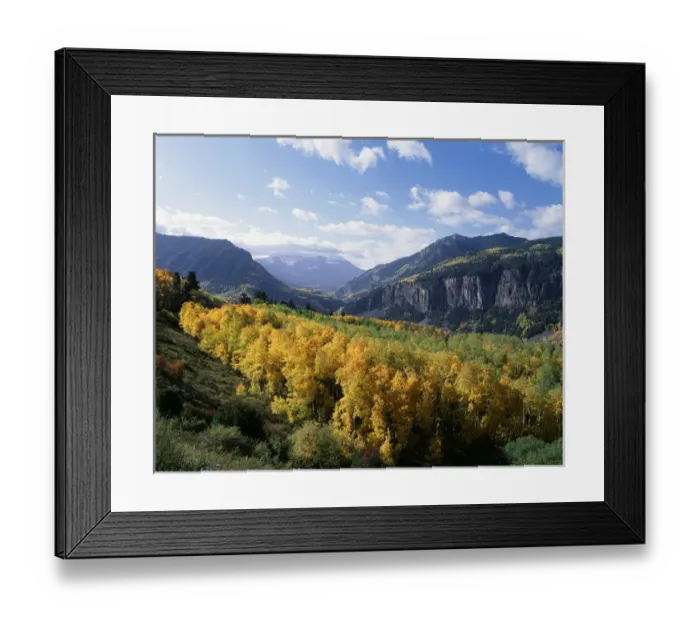 Framed Print : USA, Colorado, View of San Juan Mountains Range with aspen trees in autumn Framed Print : USA, Colorado, View of San Juan Mountains Range with aspen trees in autumn