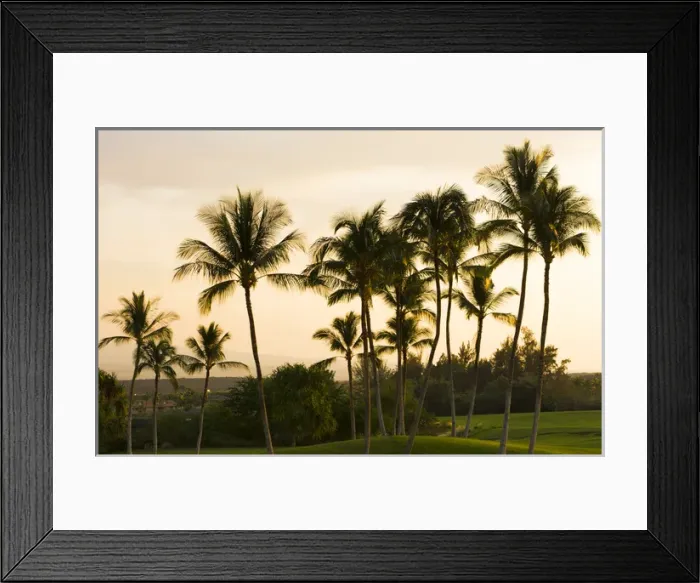 Framed Print : Waikoloa Hawaii Big Island golf course at exclusive Kings Golf Course at Waikoloa