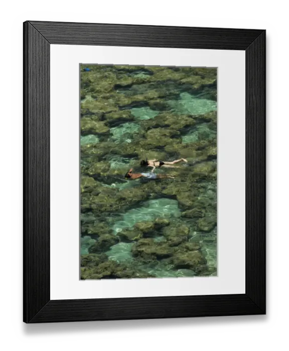 Framed Print : USA, Hawaii, Oahu, people snorkelling among coral reef at Hanauma Bay Nature Preserve Framed Print : USA, Hawaii, Oahu, people snorkelling among coral reef at Hanauma Bay Nature Preserve