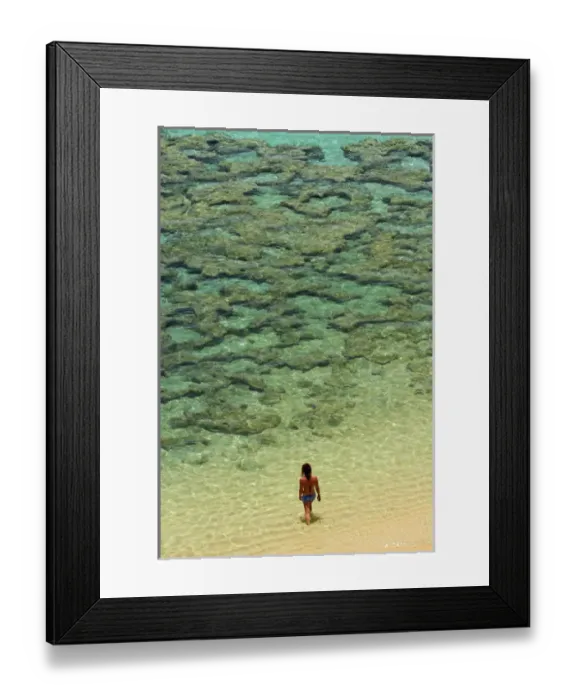 Framed Print : USA, Hawaii, Oahu, Beach at Hanauma Bay Nature Preserve Framed Print : USA, Hawaii, Oahu, Beach at Hanauma Bay Nature Preserve