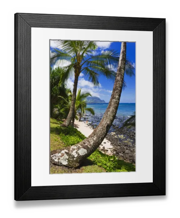 Framed Print : Hideaways Beach and the Na Pali Coast, North Shore, Island of Kauai, Hawaii USA Framed Print : Hideaways Beach and the Na Pali Coast, North Shore, Island of Kauai, Hawaii USA