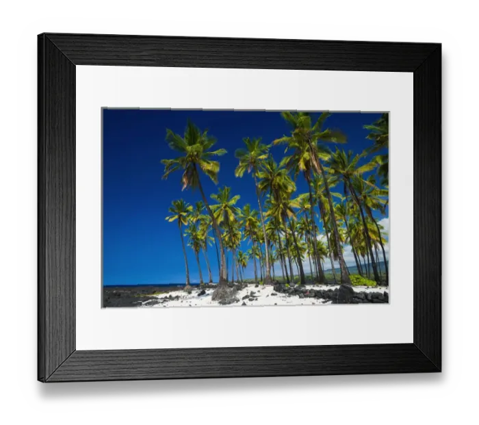 Framed Print : Coconut palms at Pu uhonua O Honaunau National Historic Park (City of Refuge) Framed Print : Coconut palms at Pu uhonua O Honaunau National Historic Park (City of Refuge)