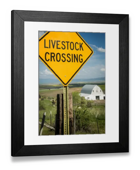 Framed Print : USA: Idaho, Columbia River Basin, Snake and Salmon River Basins, Camas Prairie Framed Print : USA: Idaho, Columbia River Basin, Snake and Salmon River Basins, Camas Prairie