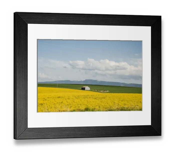 Framed Print : USA: Idaho, Columbia River Basin, Snake and Salmon River Basins, Camas Prairie Framed Print : USA: Idaho, Columbia River Basin, Snake and Salmon River Basins, Camas Prairie