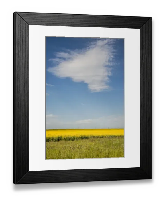 Framed Print : USA: Idaho, Columbia River Basin, Snake and Salmon River Basins, Camas Prairie