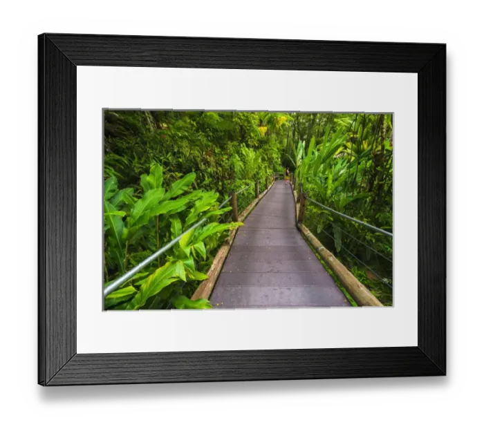 Framed Print : Trail at the Hawaii Tropical Botanical Garden, Hamakua Coast, The Big Island, Hawaii USA