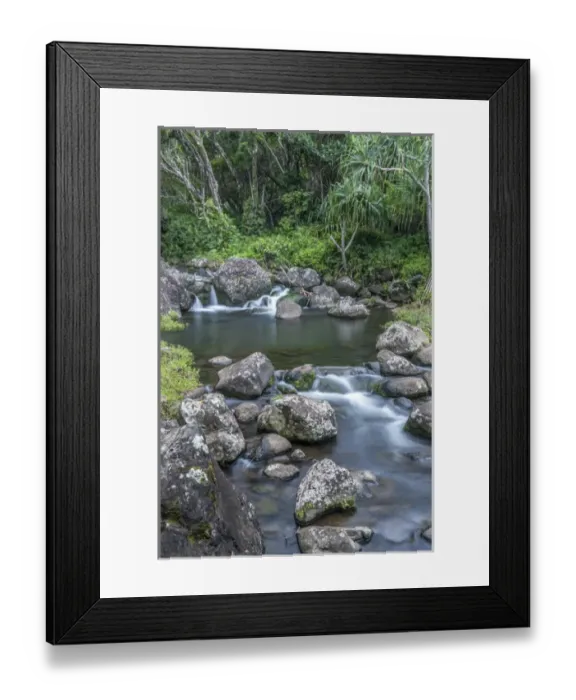 Framed Print : Hawaii, Kauai, Limahuli Garden and Preserve Framed Print : Hawaii, Kauai, Limahuli Garden and Preserve