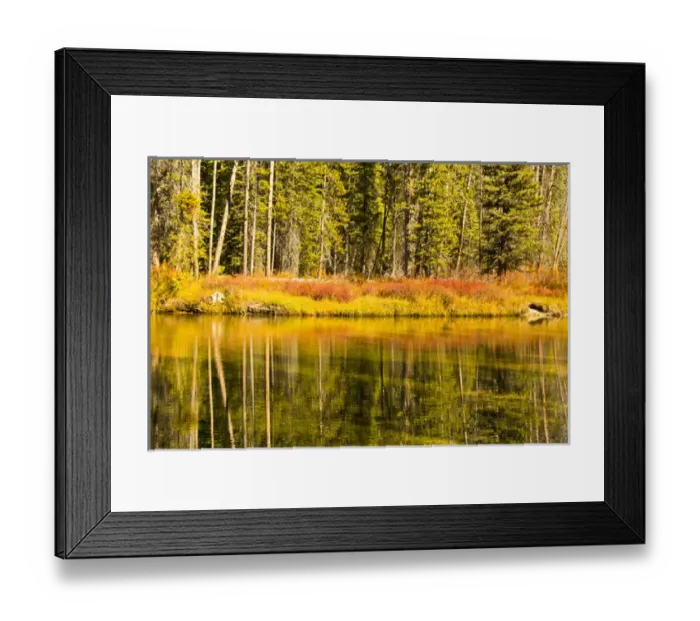 Framed Print : Autumn Reflections; Alturus Lake Inlet; Sawtooth Natiuonal Forest; Idaho; USA Framed Print : Autumn Reflections; Alturus Lake Inlet; Sawtooth Natiuonal Forest; Idaho; USA