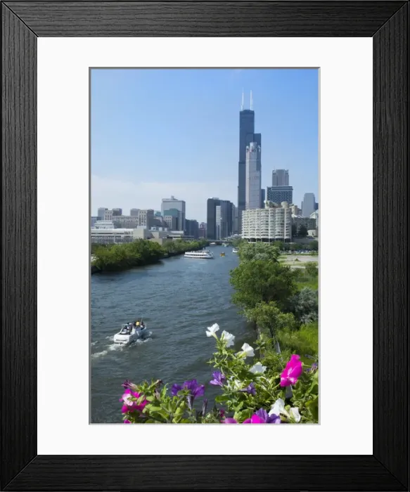 Framed Print : Chicago Illinois skyline from the South Chicago River branch with Sears Tower or