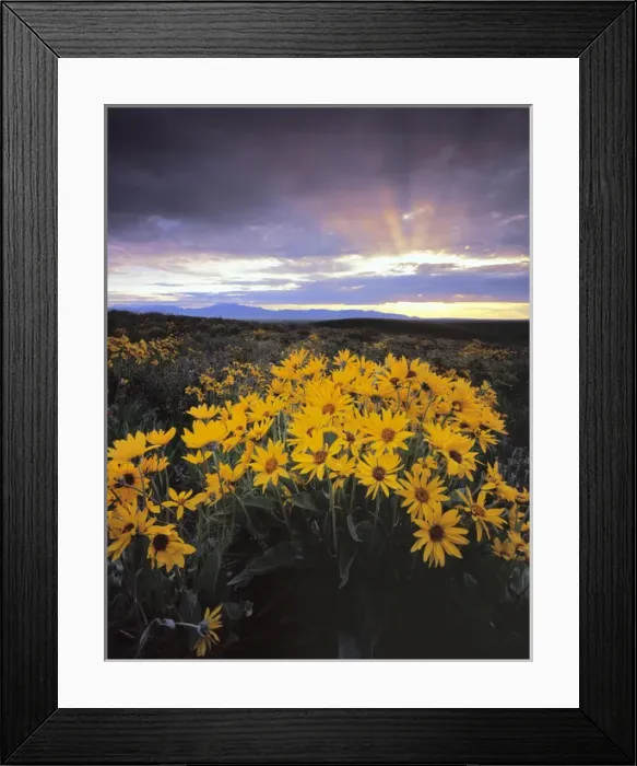Framed Print : Craters of the Moon National Monument, Idaho Framed Print : Craters of the Moon National Monument, Idaho