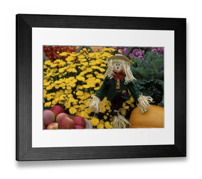 Framed Print : Fall Garden display: Apples in wooden bowl, pumpkins, ornamental kale, scarecrow Framed Print : Fall Garden display: Apples in wooden bowl, pumpkins, ornamental kale, scarecrow