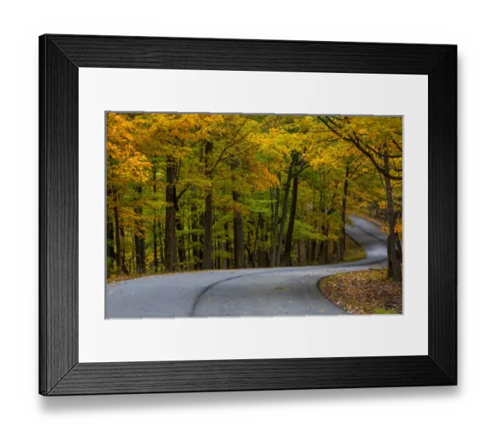 Framed Print : Roadway in autumn in Brown County State Park, Indiana, USA