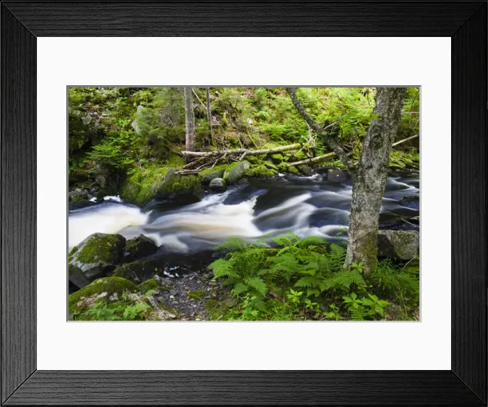 Framed Print : Cold Stream in Maines Northern Forest. Cold Stream Gorge. Johnson Mountain Township Framed Print : Cold Stream in Maines Northern Forest. Cold Stream Gorge. Johnson Mountain Township