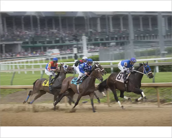 USA, Kentucky, Louisville. Horses racing at Churchill Downs