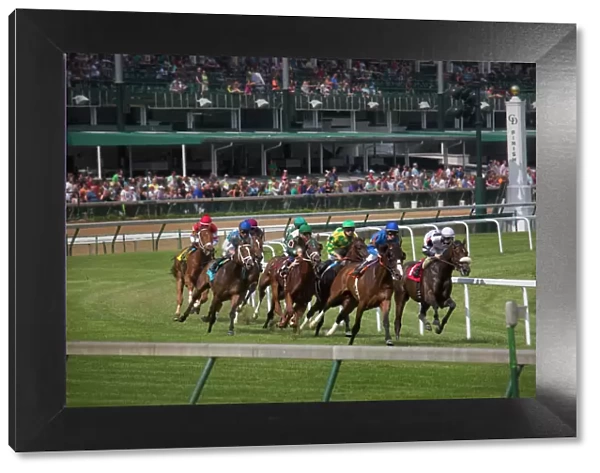 USA, Kentucky, Louisville. Horses racing on turf at Churchill Downs