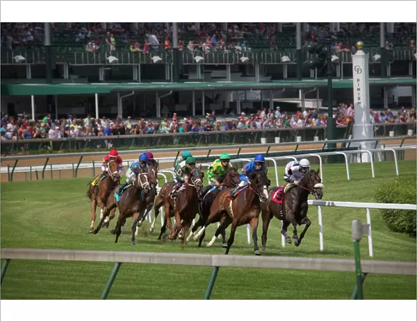 USA, Kentucky, Louisville. Horses racing on turf at Churchill Downs